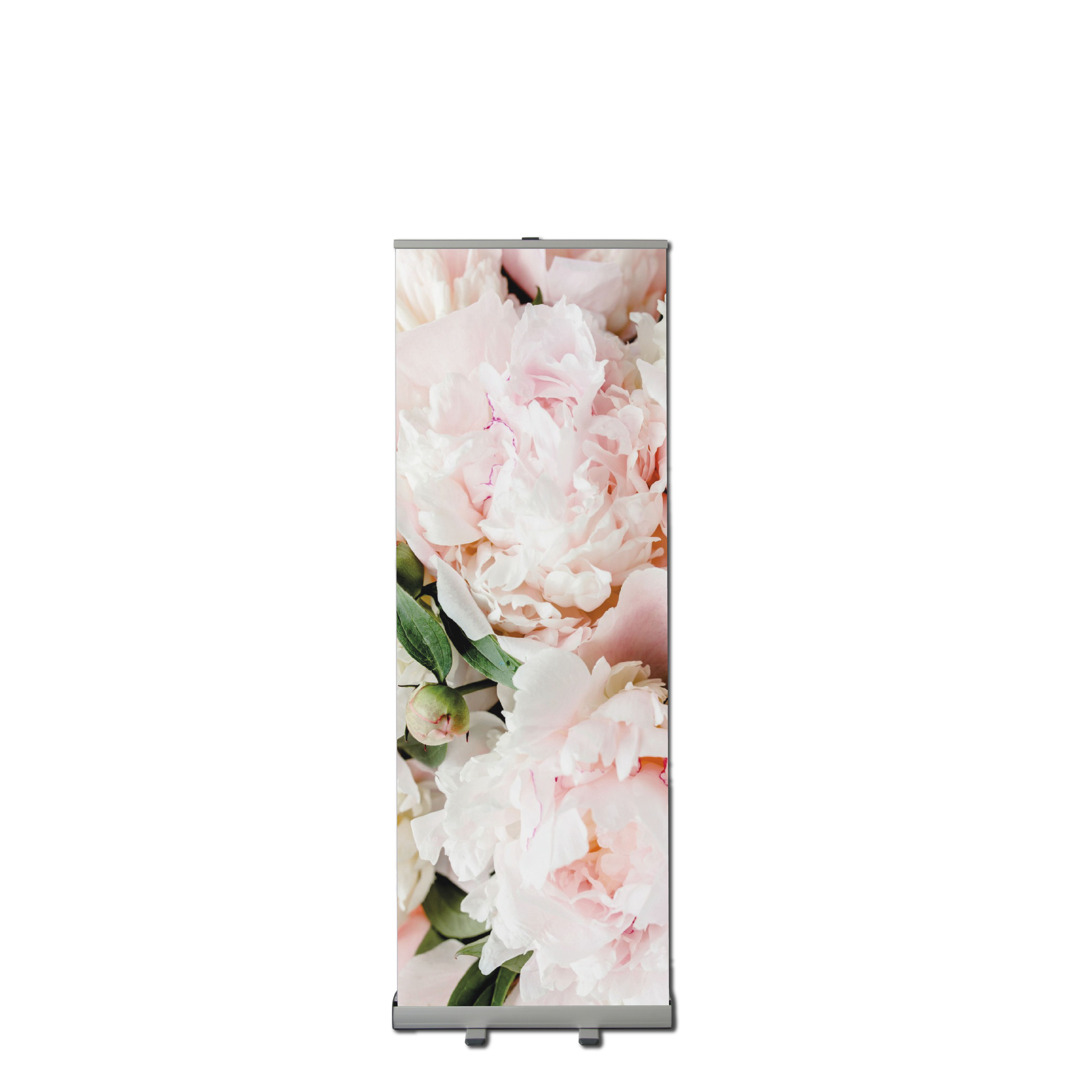 Rollup60x200